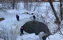 В Ярославле спасатели выручили уток из ледового плена