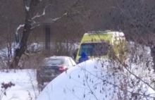 В Ярославле на дереве обнаружен труп молодого мужчины