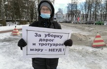 В Ярославле прошли пикеты с требованием отставки мэра