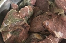 В Ярославской области студентки отравились тухлым мясом