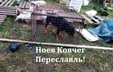 Приют для животных под Переславлем превратился в концлагерь?