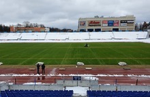 В Ярославле на стадионе «Шинник» зазеленела трава