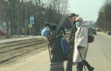 «Сел на шею»: в Ярославле набирает популярность бабушка с верховым котом