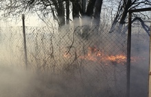 «Женщина теряла сознание»: Ярославская область оказалась в огне травяных пожаров