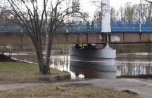 «Уточки плавают»: в Ярославле затопило Стрелку и Волжскую набережную