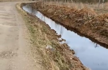 Навозными реками под Ярославлем займутся областные власти