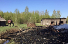 В Ярославской области задержаны подозреваемые в жестоком убийстве пенсионера