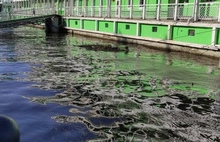 В Ярославле «Волжскую Жемчужину» очистили от плавучего мусора