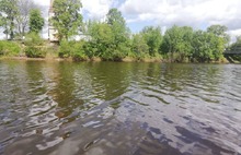Ярославские власти: факт загрязнения реки Ить не подтвердился