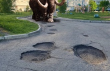Ярославцы обнаружили следы мамонта на дороге в Заволжском районе