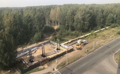 В Ярославле застройщик отказался от аренды березовой рощи