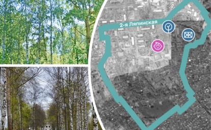 Главный архитектор Ярославля ищет плотность застройки Ляпинки