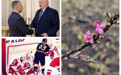 Зависть Лукашенко, гулящий олень и лыко: подводим итоги недели в Ярославле