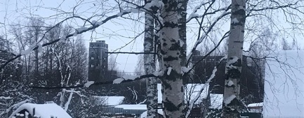 «Слава Богу»: ярославцы сняли на видео финал легендарных элеваторов