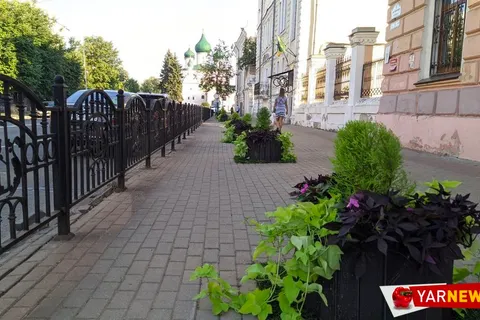 В Ярославле вместо погибших деревьев появились клумбы с цветами