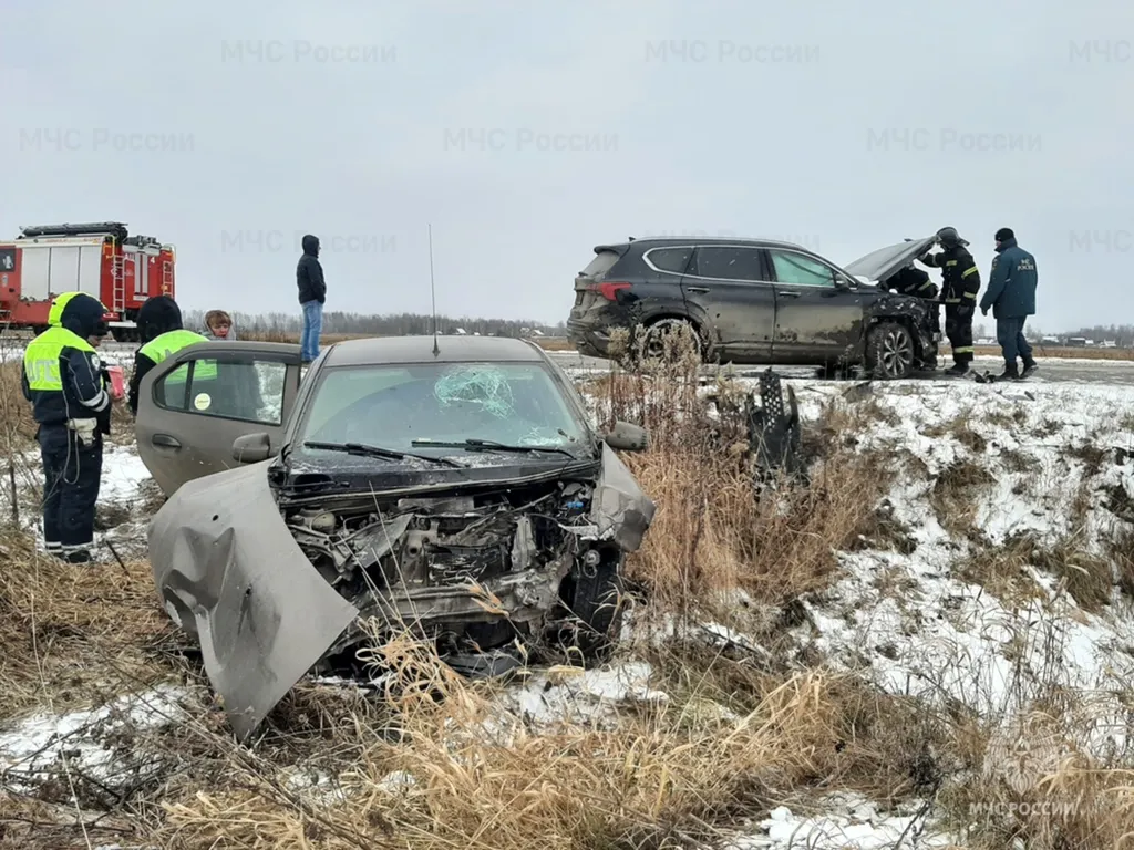 Под Ярославлем в ДТП пострадали водитель и пассажир «Рено»