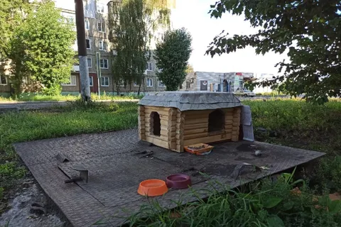 В Тутаеве появился уличный «кошкин дом»