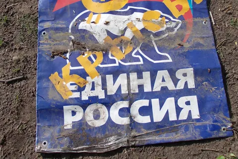 В Ярославле продолжается поиск художников, разукрасивших свастикой собачью площадку