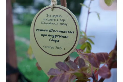 В ярославском парке «Юбилейный» высадили новые деревья