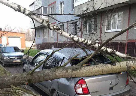 В Ярославль пришел ураган: фоторепортаж последствий природной стихии