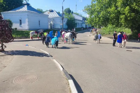 В Ярославле лошадь сбросила маленького ребенка