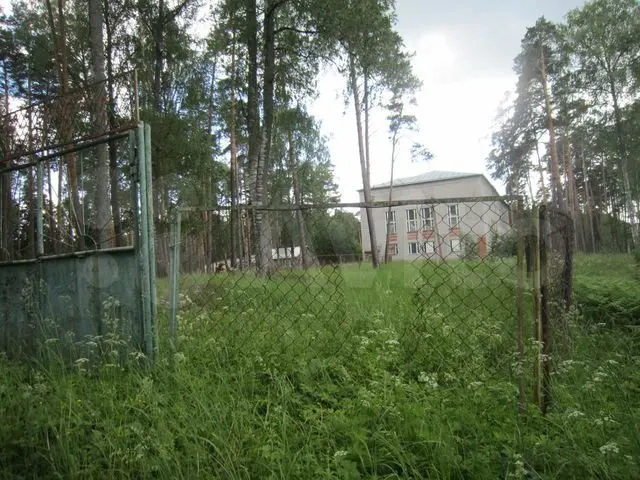В Ярославской области продают детский санатории «Итларь»