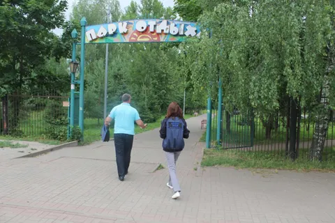 В Ярославской области на спортплощадке обнаружено лежбище бомжей