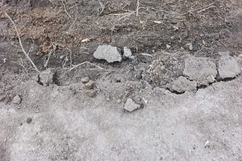 В Ярославле вдоль забора Юбилейного парка «благоустроители» уничтожают липы