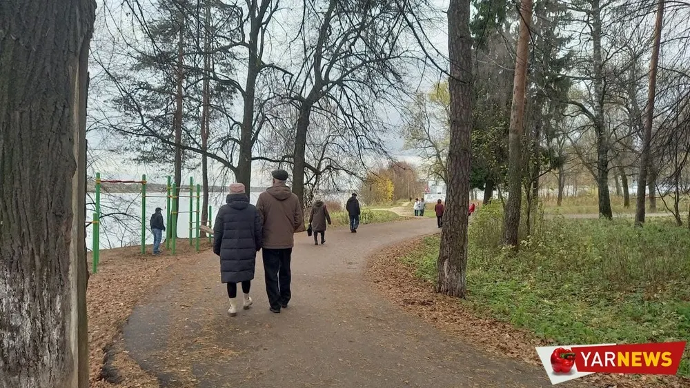 Ярославцы выступили против установки бетонного забора в Павловской роще