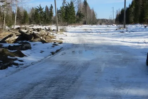 Деминский марафон Worldloppet-2014 в Рыбинске отменен. С фото