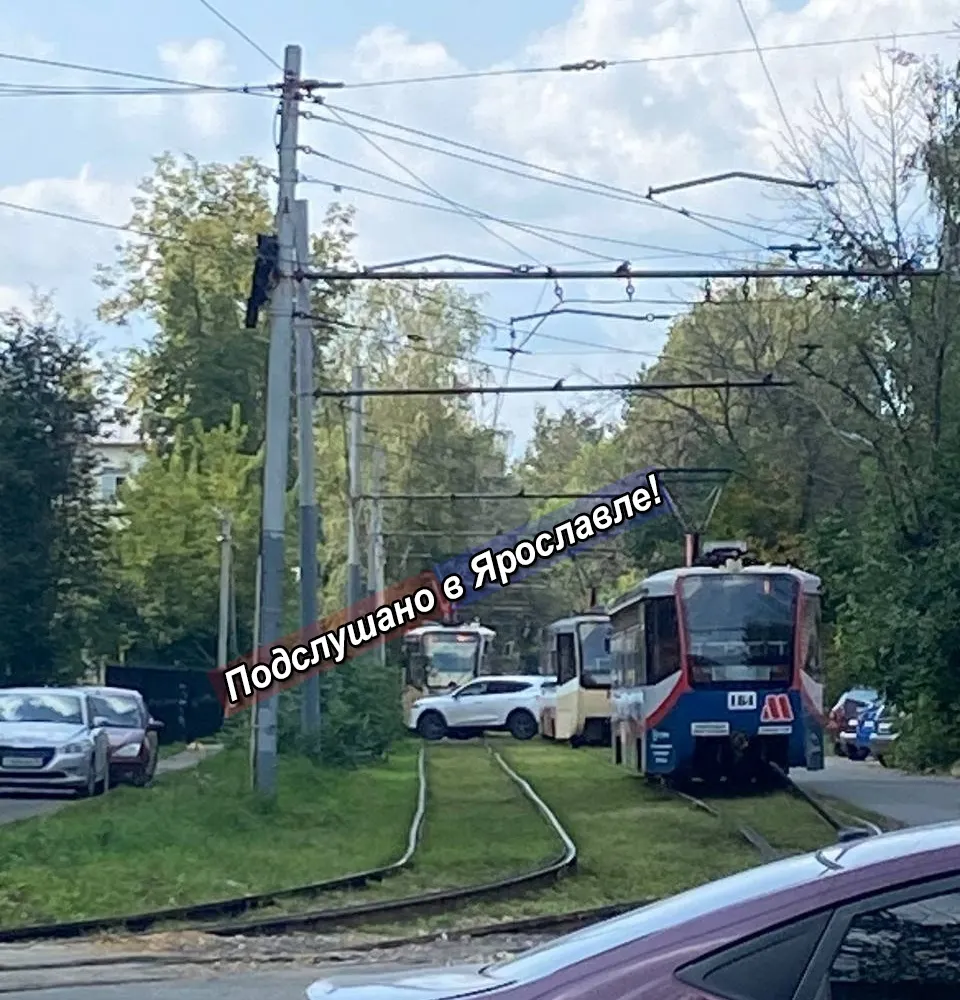 Яргорэлектротранс подаст в суд на перекрывшую трамвайные пути даму