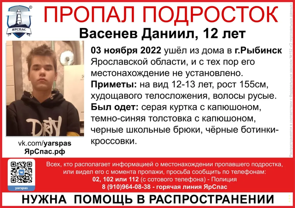 В Ярославской области ищут пропавшего двенадцатилетнего подростка