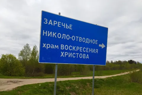 Жители Ярославской области возмущены вырубкой еловой рощи в Даниловском районе