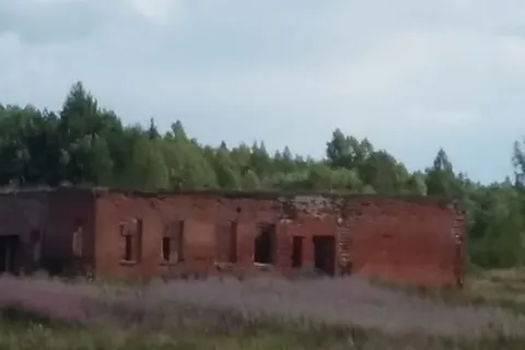 В Ярославской области прошел крестный ход на тракторах