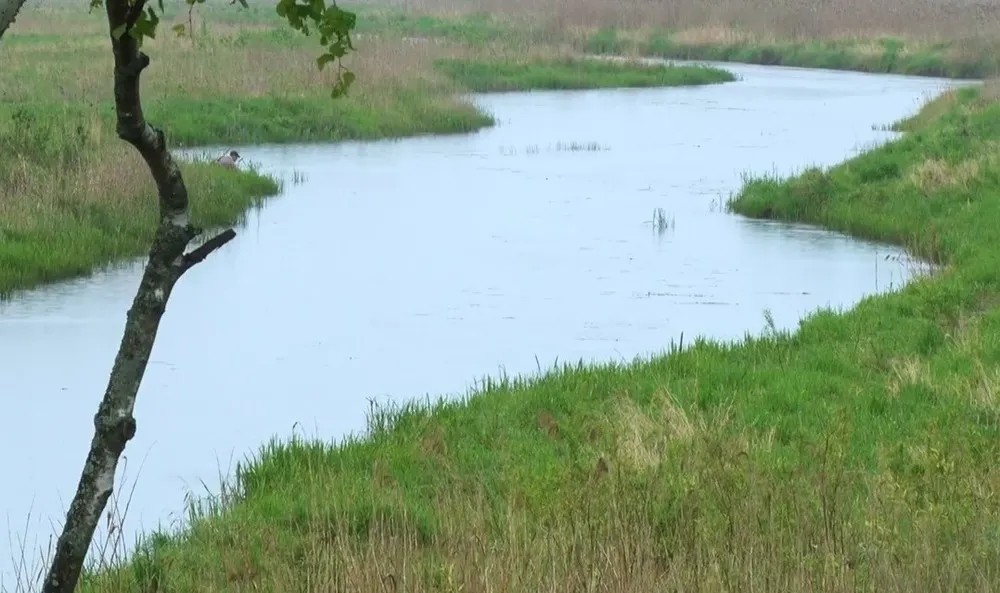Ростову пообещали чистую воду