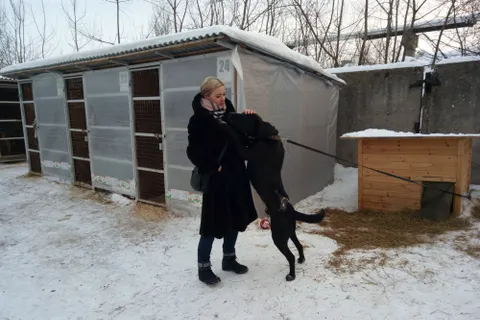 В Ярославле пройдет очередная акция «Хочу домой»