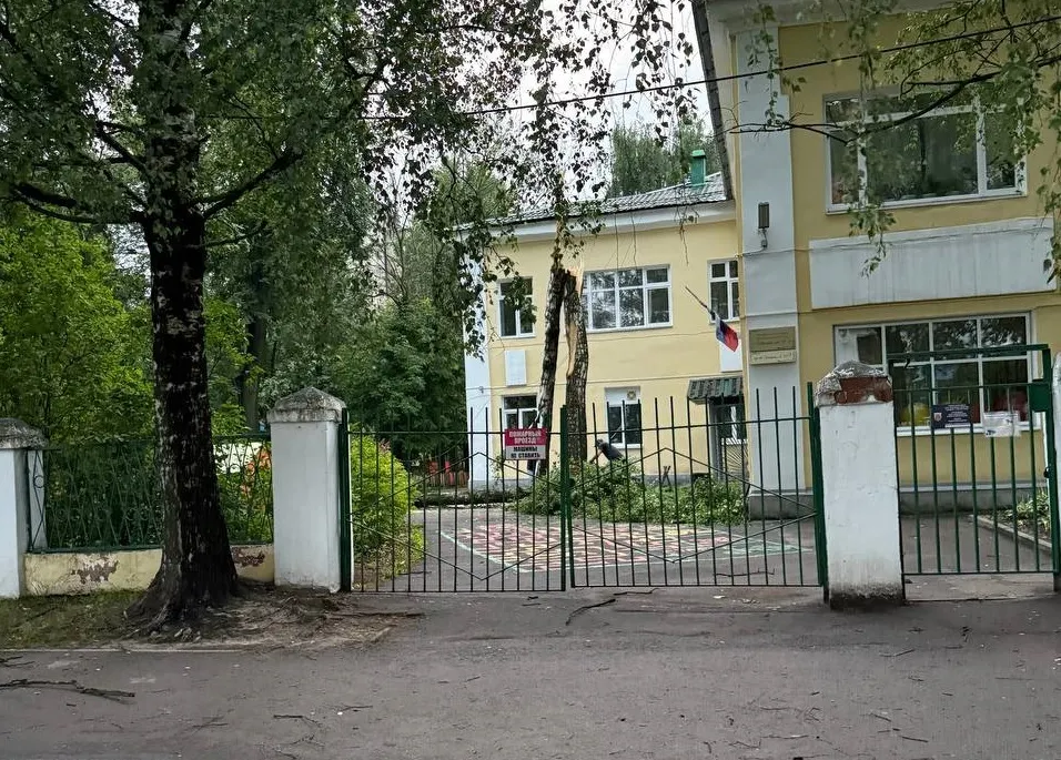 В Ярославле на территории детсада рухнуло дерево
