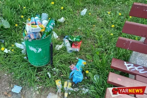Власти Ярославля приучают брагинцев к свинству