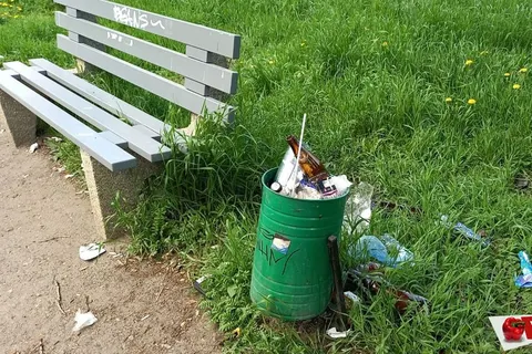 Власти Ярославля приучают брагинцев к свинству
