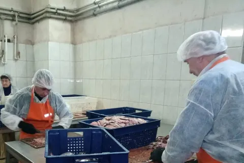 На «Пошехонском рыбзаводе» вместо радужной форели завели уголовное дело