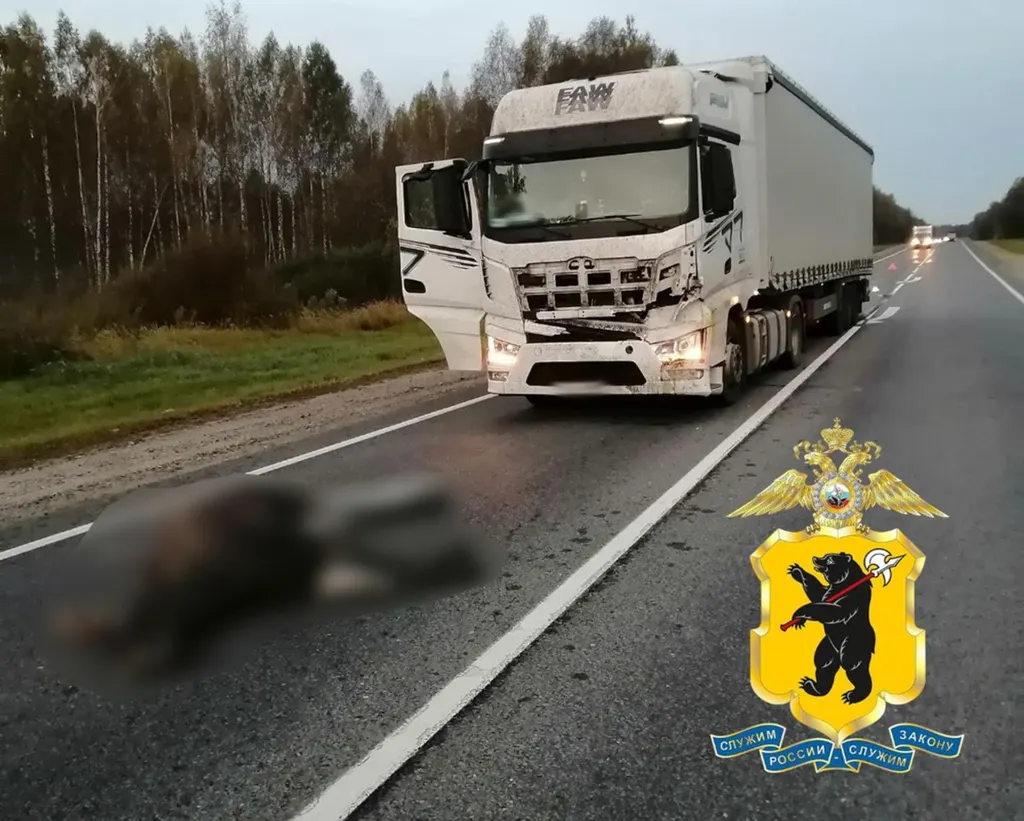 В Ярославской области фура сбила лося