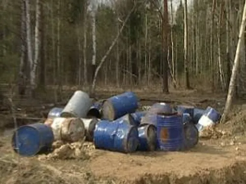 Ярославский бизнесмен погубил почти полгектара леса в Костромской области