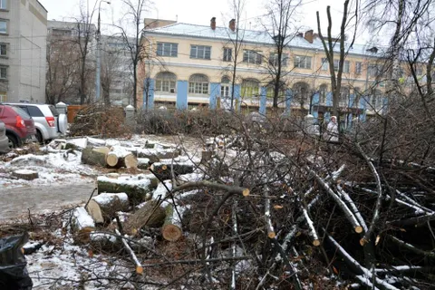 Второй сквер  лег под нож в центре Ярославля