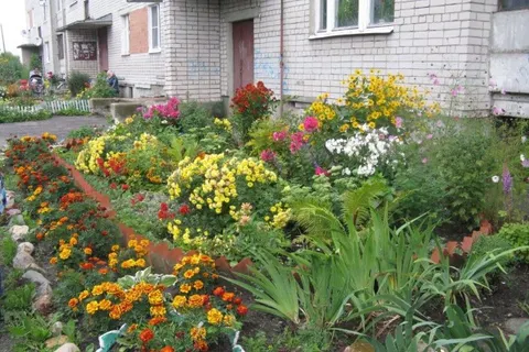 В Ярославле прошел праздник улицы Колышкина
