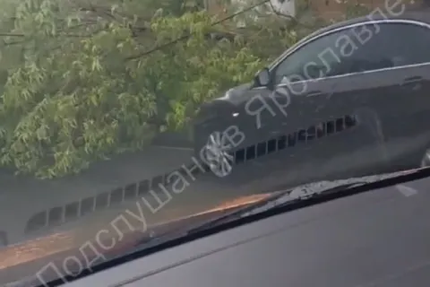 В Ярославской области во время грозы повалило деревья