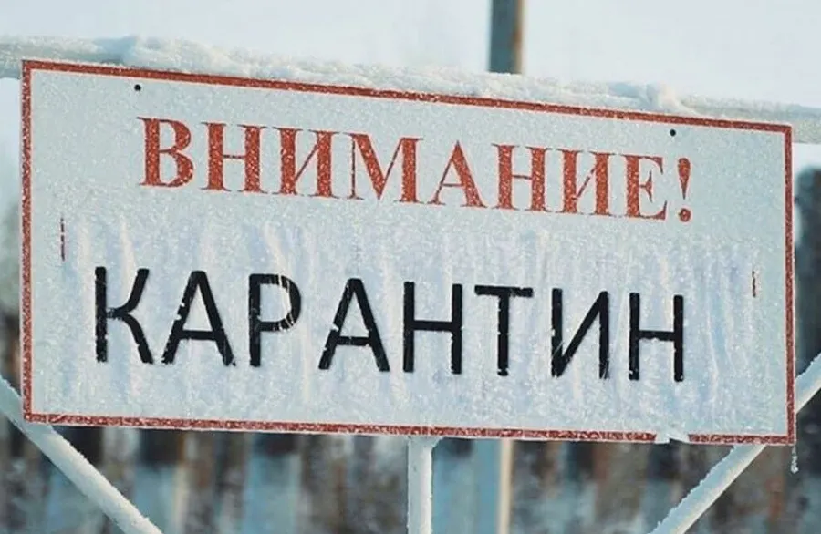 В Ярославской области ввели карантин по бешенству животных