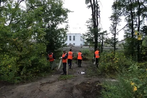 Из Ярославля вывезли более пятисот кубометров мусора