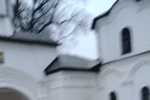 По Переславлю бегает пятнистый олень
