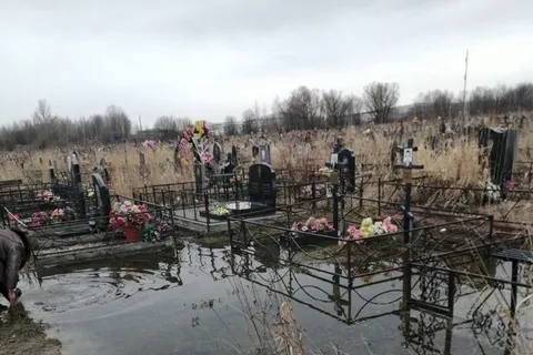 Ярославцы назвали «бесчеловечным» состояние Осташинского кладбища