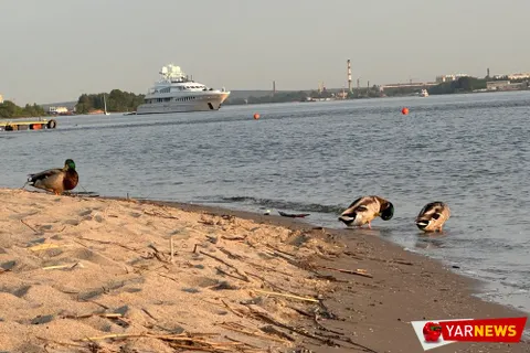 В Ярославле заметили суперяхту